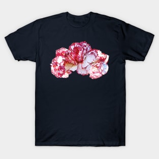 Carnations - Three Pink-Tipped Carnations T-Shirt